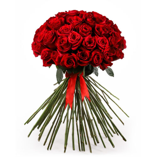 Kvalitné červené ruže