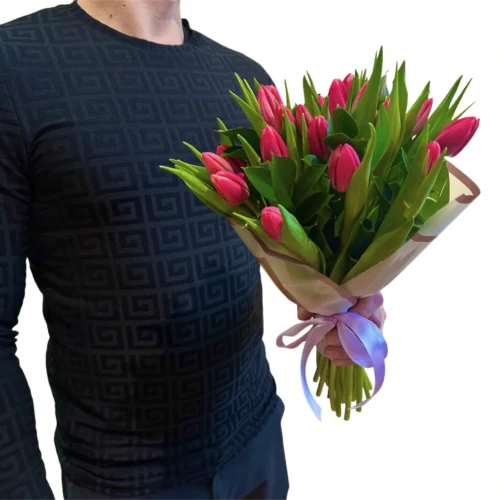 ružové tulipány Polo